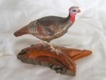 Merriam Turkey - mini