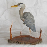 Blue Heron wood carving by artist Bill Windsor on Wood Carvings by Bill.